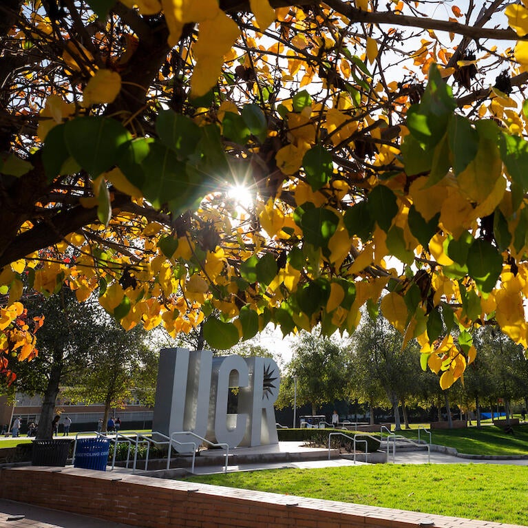 ucr monument fall colors